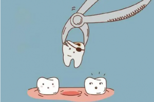 ���ݽ�������������